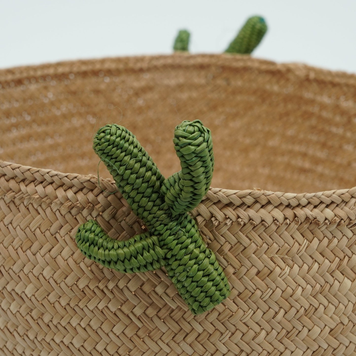 Close up view of woven basket with cactus on the side.